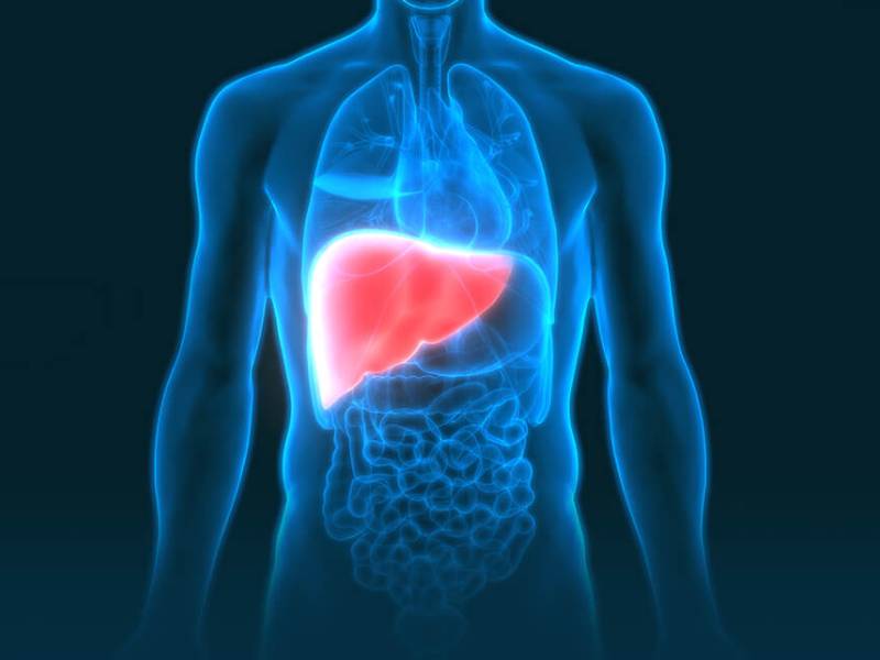 Adult Liver Transplantation in Pune