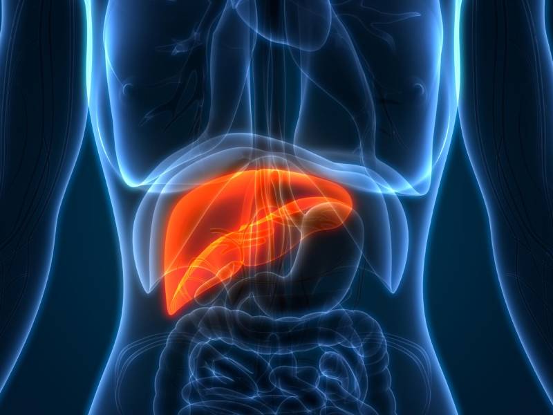 Liver Cancer Treatment in Pune | Liver cancer Surgery in Pune