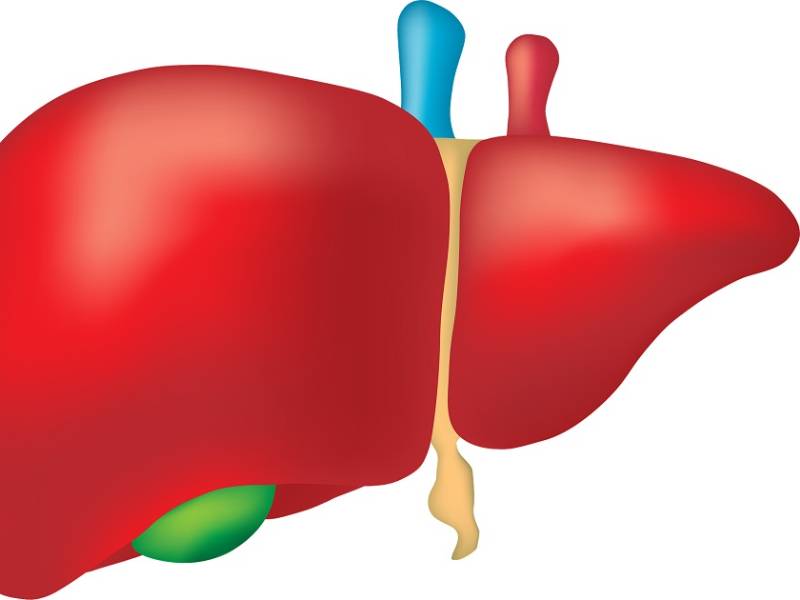 Liver Failure Treatment in Pune | Liver disease Treatment