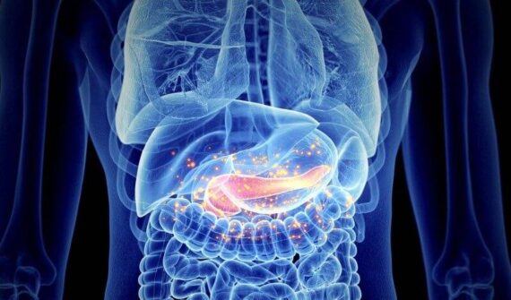 3D medical illustration of inflamed pancreas highlighting symptoms, used for explaining pancreatitis treatment in Pune and chronic pancreatitis treatment in Pune.