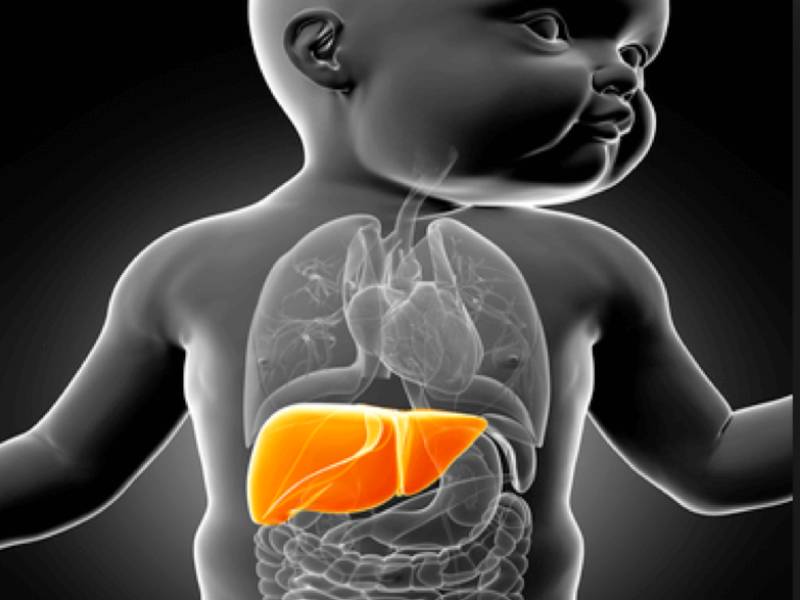 Pediatric Liver Transplant in Pune