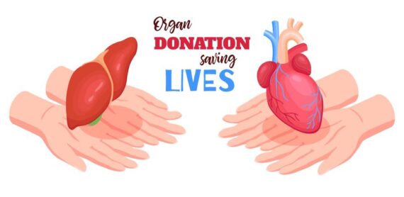 Facts and Myths: Organ Donation