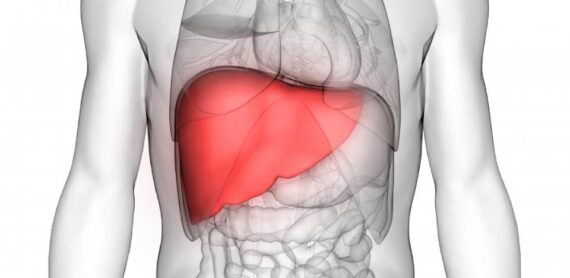 Cadaveric Liver Transplant