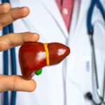 Dr. Manoj Dongare holding a liver model – Liver Transplant Specialist in Pune