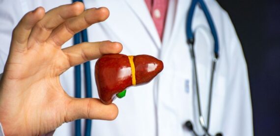 Dr. Manoj Dongare holding a liver model – Liver Transplant Specialist in Pune