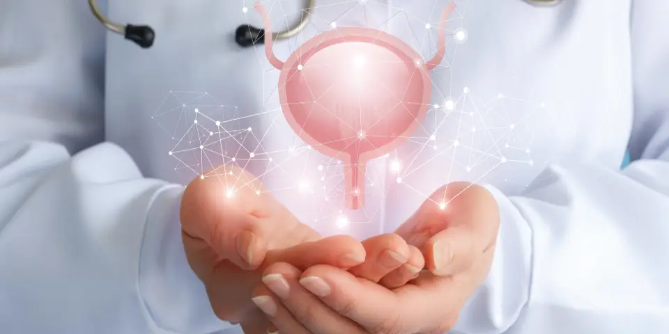 Doctor holding a digital illustration of the bladder – Bladder Cancer in Elderly Patients care concept
