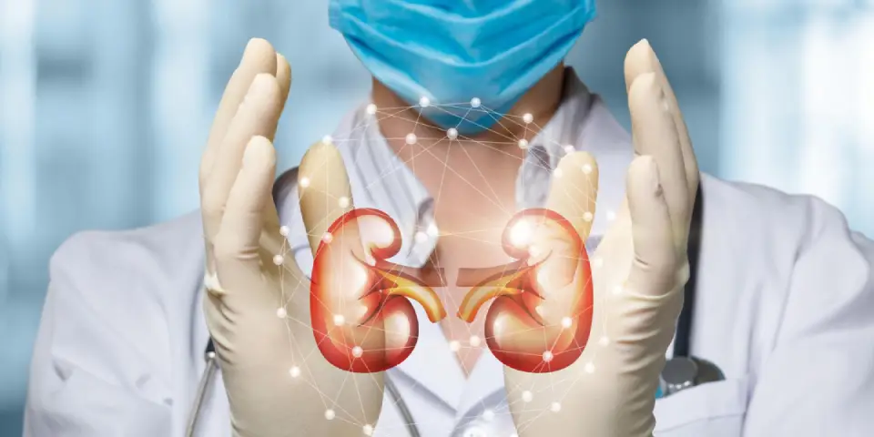 Kidney image with surgeon — Questions to Ask Kidney Cancer Surgeon before treatment