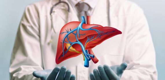 Doctor explaining Liver Transplant for Liver Cancer with anatomical liver illustration